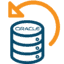 Graphic of an Oracle server